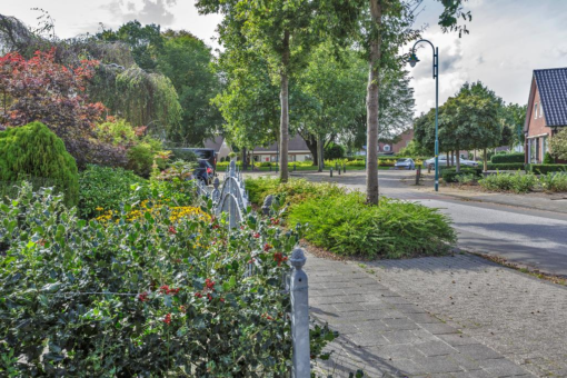 Buorren 42 Houtigehage - Afbeelding 15.jpg