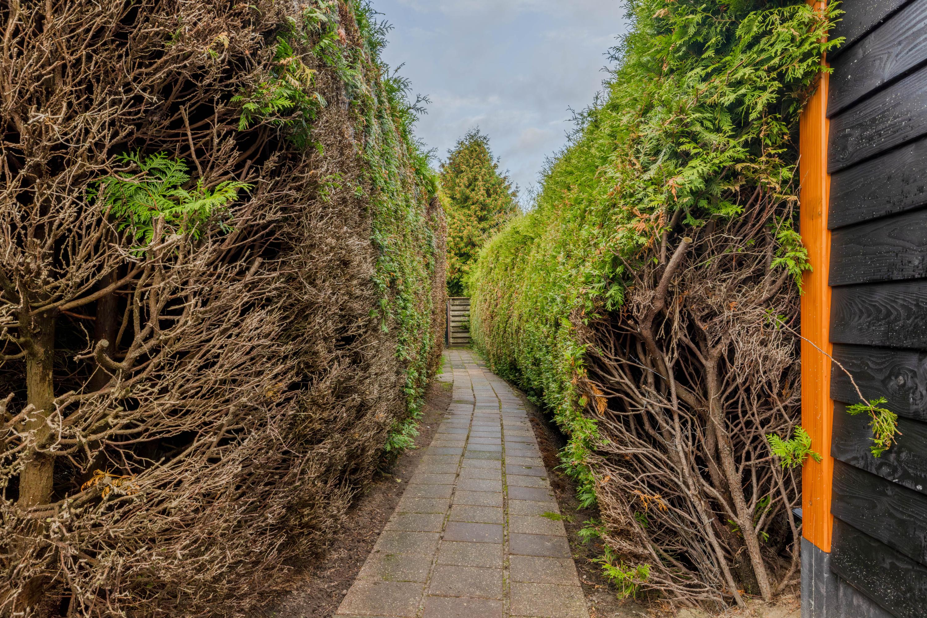 Burmaniastraat 39 Surhuisterveen - Afbeelding 4.jpg