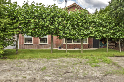 Buurtlaan 1 Jistrum - Afbeelding 6.jpg