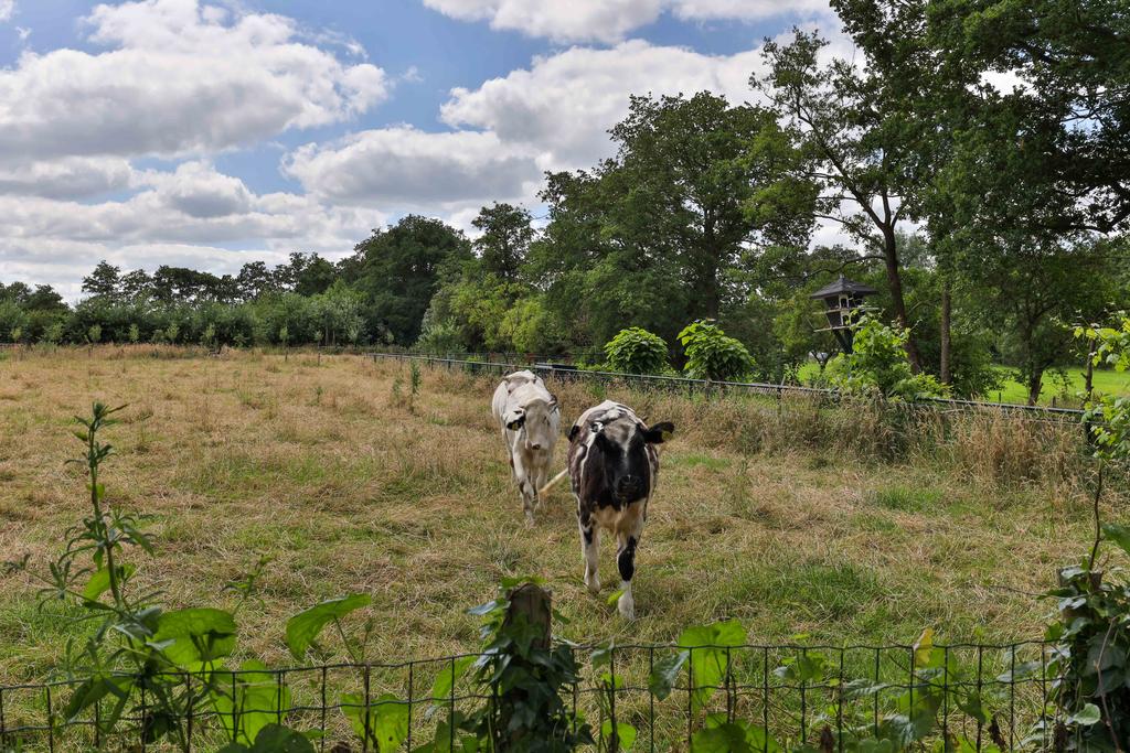 De Akker 7 Opende - Afbeelding 29.jpg