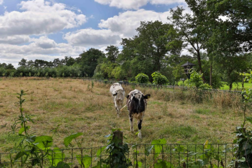 De Akker 7 Opende - Afbeelding 29.jpg