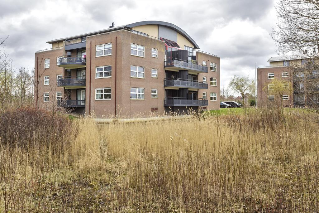 de Anjen 39 Kollum - Afbeelding 23.jpg