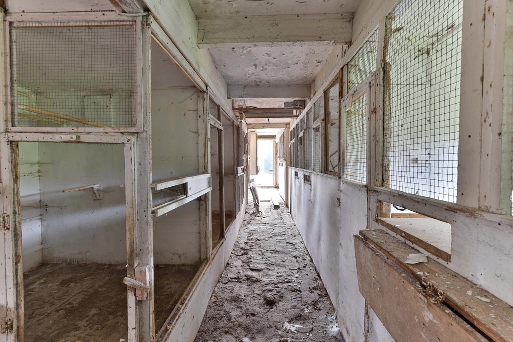 De Buorren 34 Drogeham - Afbeelding 46.jpg