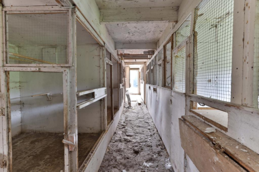 De Buorren 34 Drogeham - Afbeelding 46.jpg