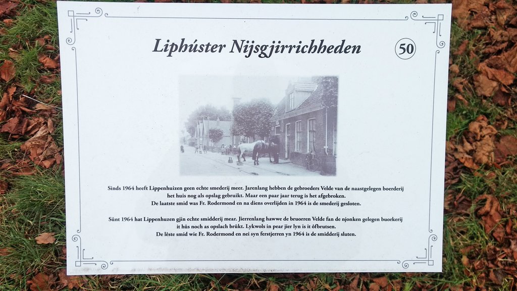 De Buorren 86 Lippenhuizen - Afbeelding 6.jpg