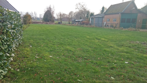 De Buorren 86 Lippenhuizen - Afbeelding 3.jpg