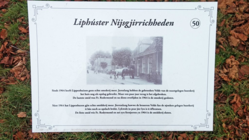 De Buorren 86 Lippenhuizen - Afbeelding 6.jpg