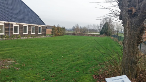 De Buorren 86 Lippenhuizen - Afbeelding 10.jpg