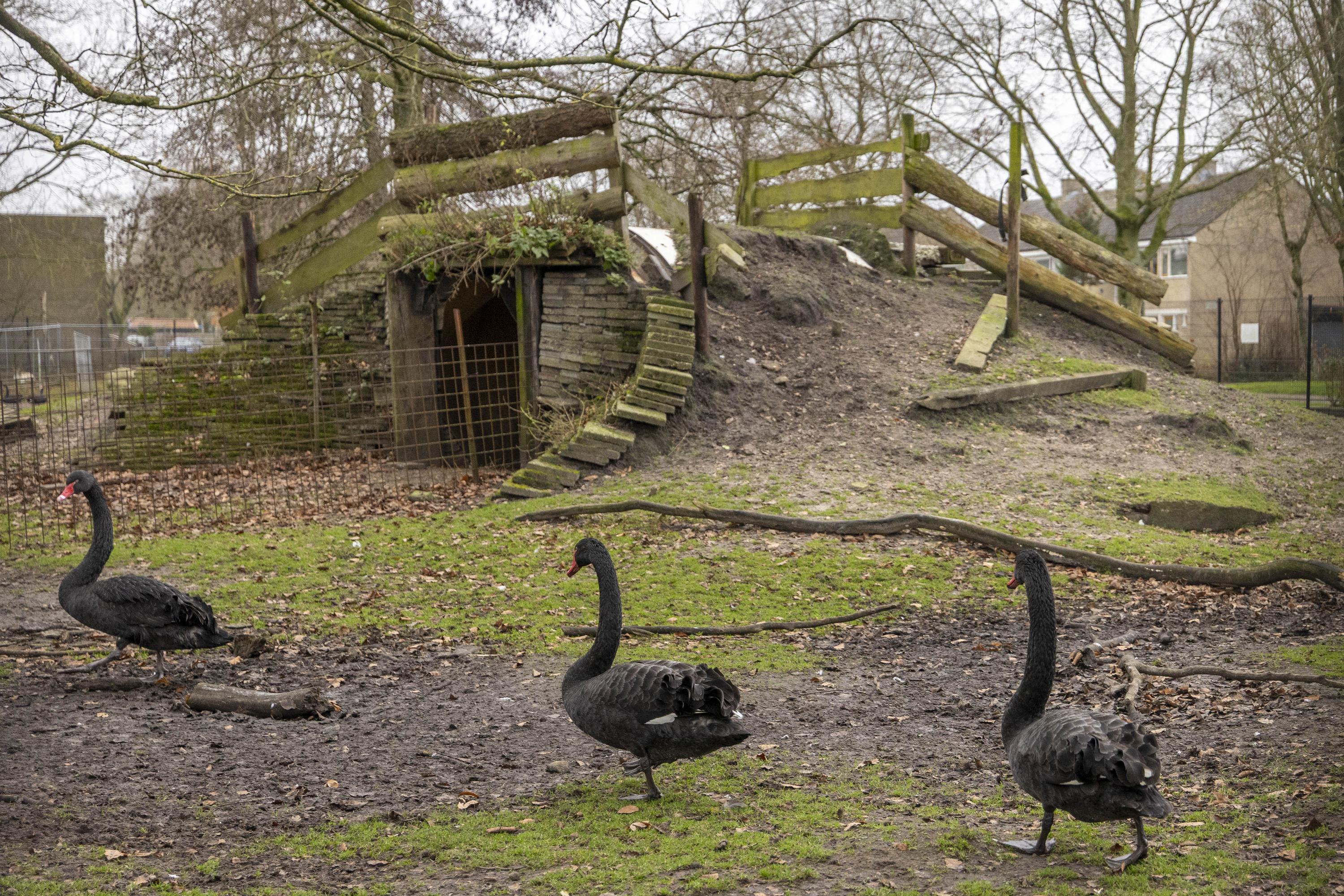 De Dellen 39a Surhuisterveen - Afbeelding 4.jpg