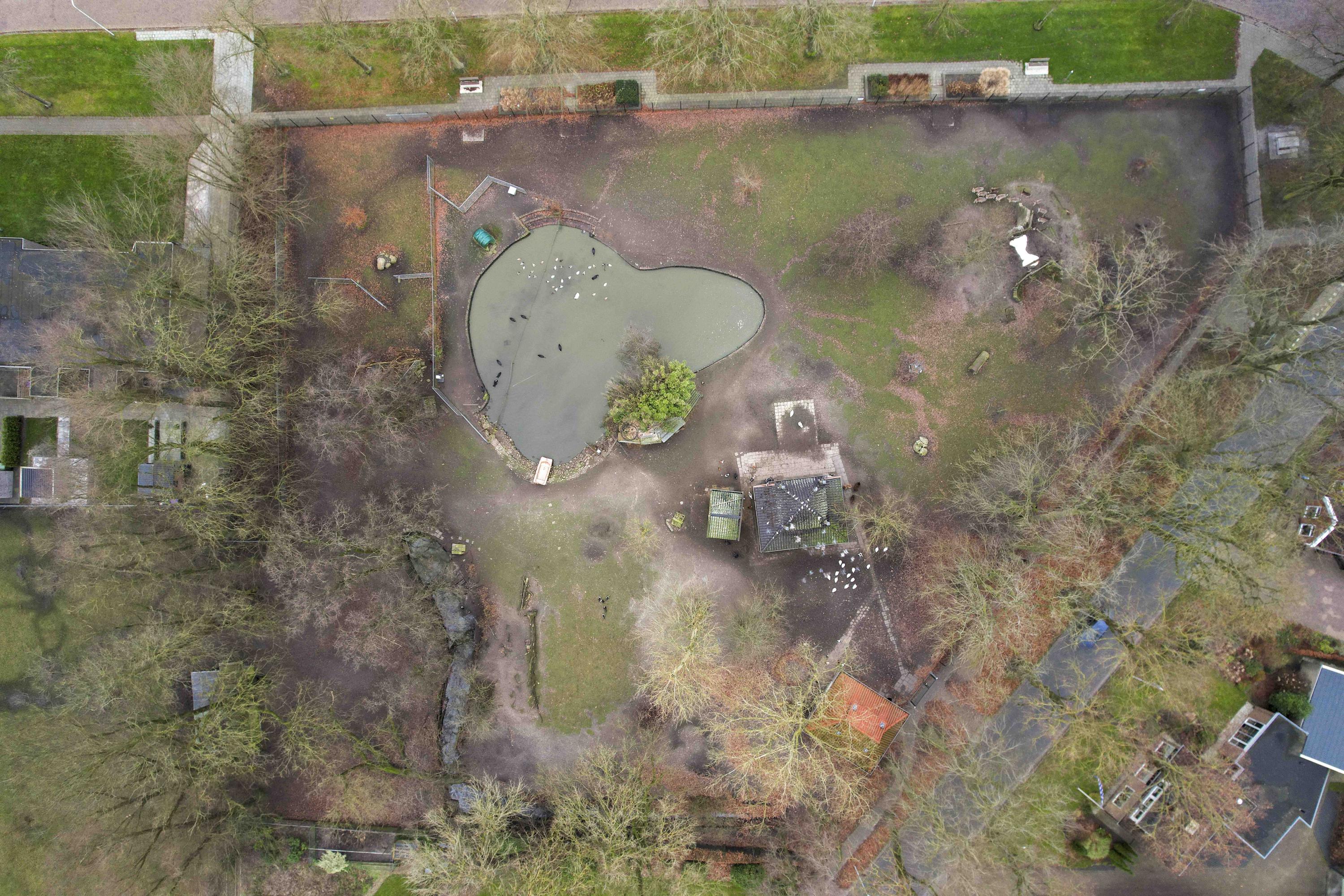 De Dellen 39a Surhuisterveen - Afbeelding 58.jpg