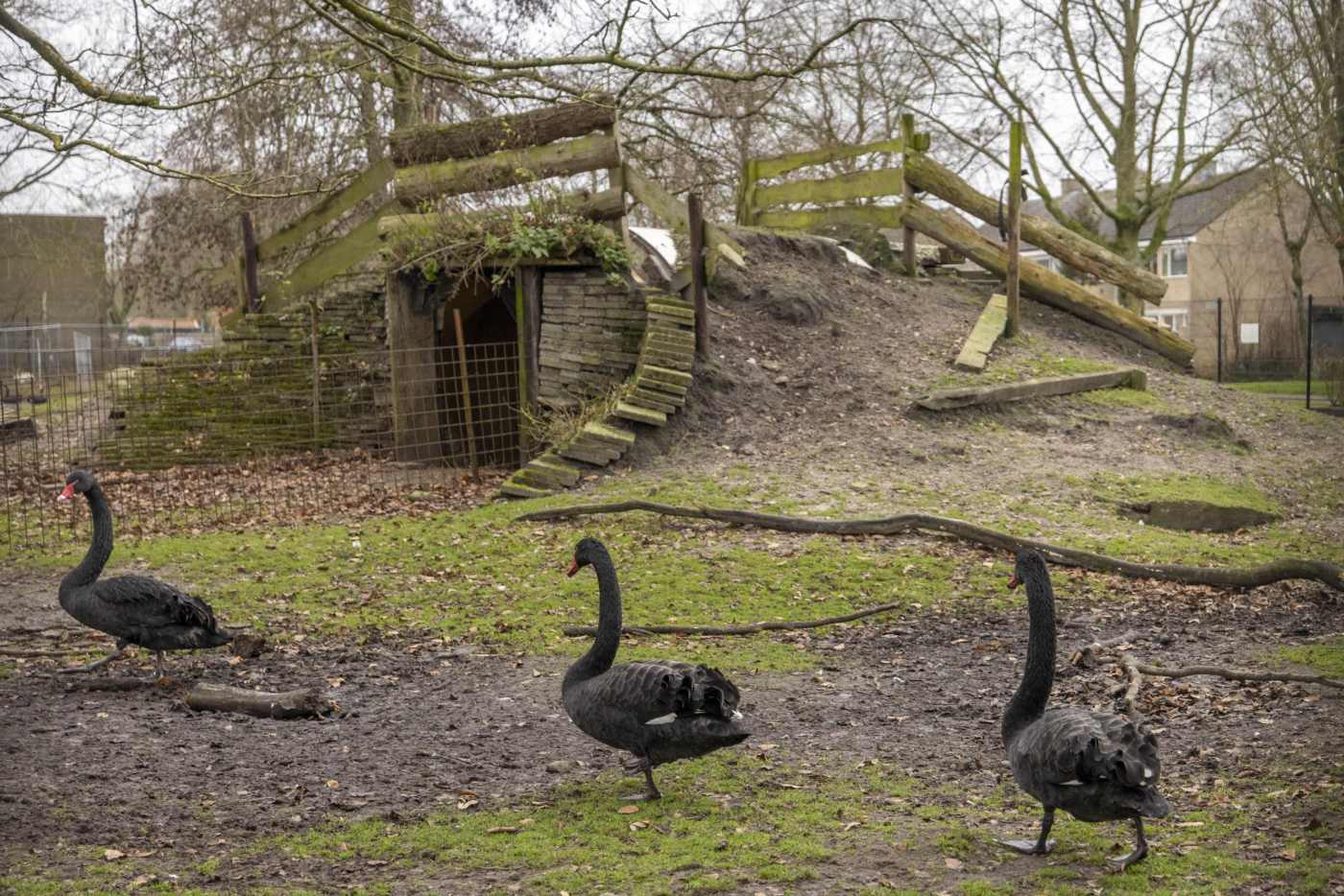 De Dellen 39a Surhuisterveen - Afbeelding 4.jpg