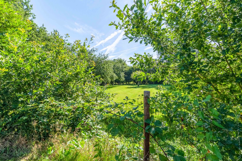 De Dobbe 1 Opende - Afbeelding 11.jpg