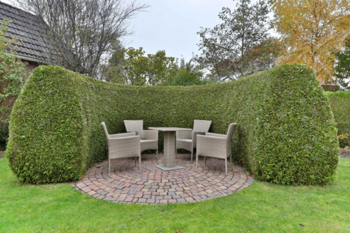 De Fazant 22 Surhuisterveen - Afbeelding 41.jpg