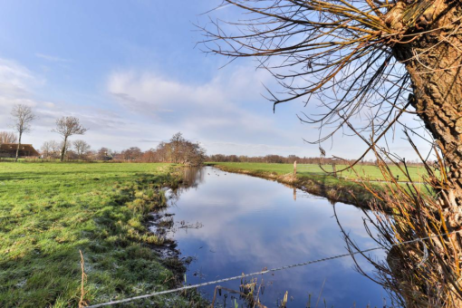 De Fintsjes 33 Rottevalle - Afbeelding 60.jpg