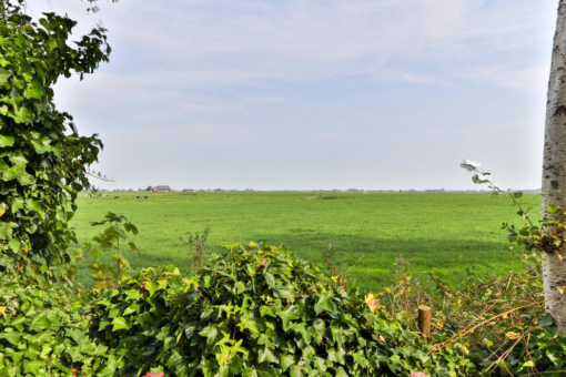 De Flaphoek 25 Gerkesklooster - Afbeelding 36.jpg