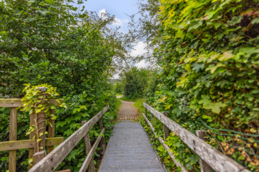 De Gaai 3 Surhuisterveen - Afbeelding 56.jpg