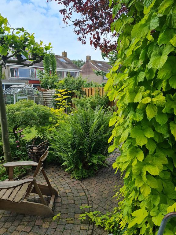 De Hammeringen 33 Bitgummole - Afbeelding 15.jpg