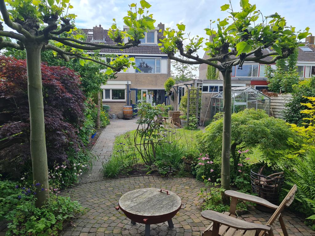 De Hammeringen 33 Bitgummole - Afbeelding 39.jpg