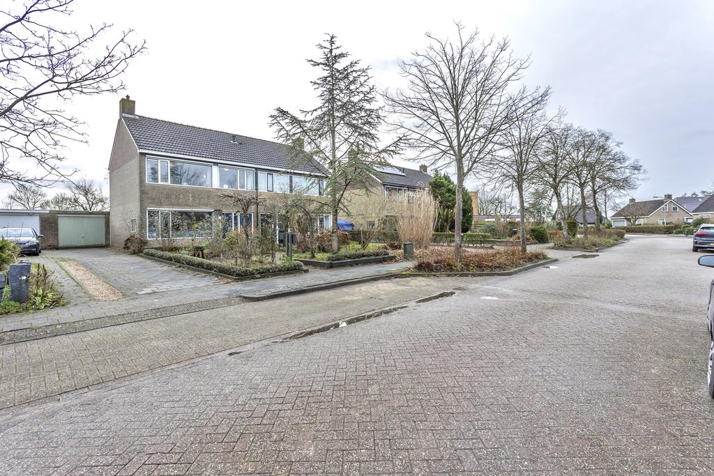 De Hammeringen 33 Bitgummole - Afbeelding 40.jpg