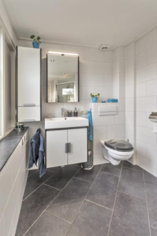 De Hammeringen 33 Bitgummole - Afbeelding 25.jpg