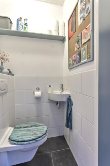 De Hammeringen 33 Bitgummole - Afbeelding 35.jpg