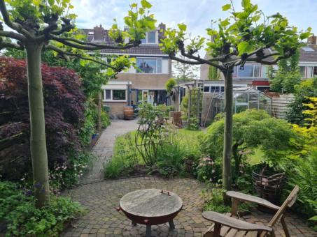 De Hammeringen 33 Bitgummole - Afbeelding 39.jpg