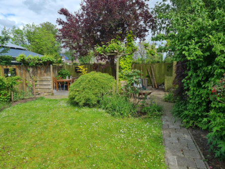 De Hammeringen 33 Bitgummole - Afbeelding 41.jpg