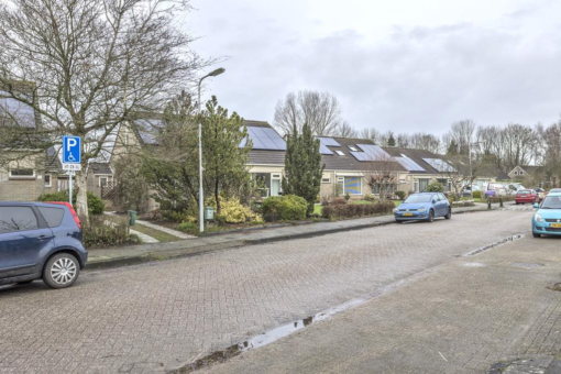 De Hammeringen 33 Bitgummole - Afbeelding 53.jpg