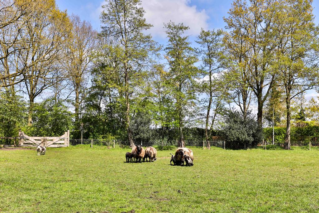 De Ketting 4 Surhuisterveen - Afbeelding 62.jpg