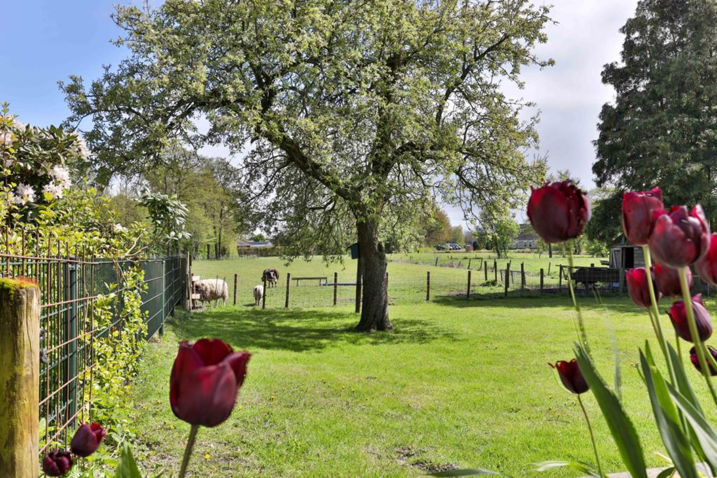 De Ketting 4 Surhuisterveen - Afbeelding 2.jpg