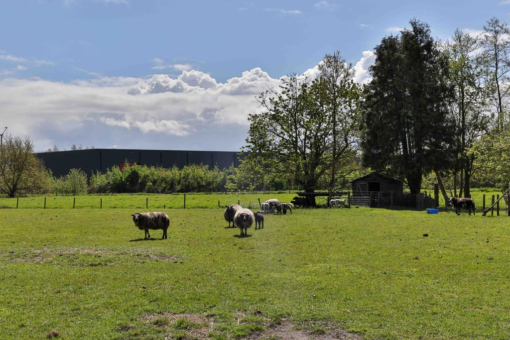 De Ketting 4 Surhuisterveen - Afbeelding 56.jpg