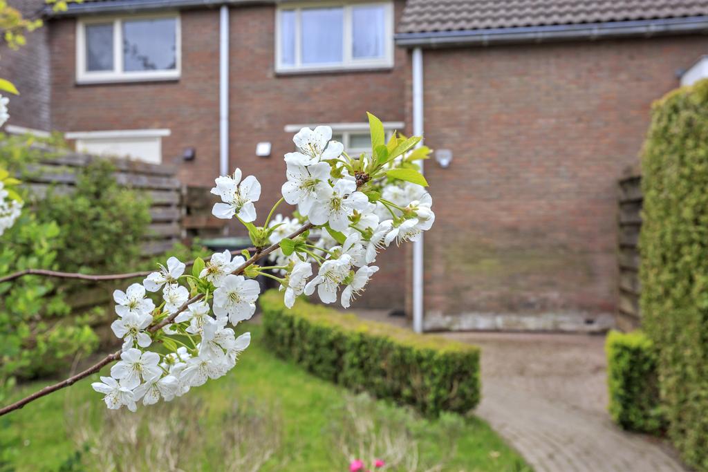 De Lange Schoor 10 Buitenpost - Afbeelding 33.jpg