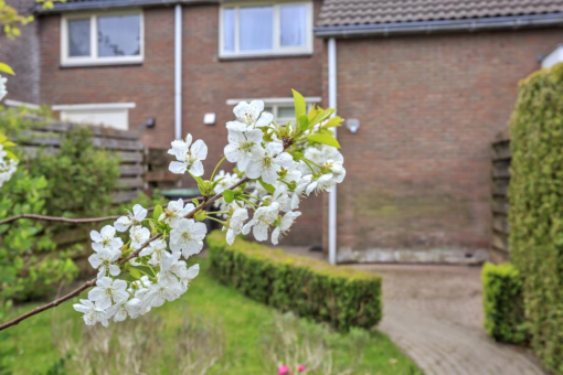 De Lange Schoor 10 Buitenpost - Afbeelding 33.jpg