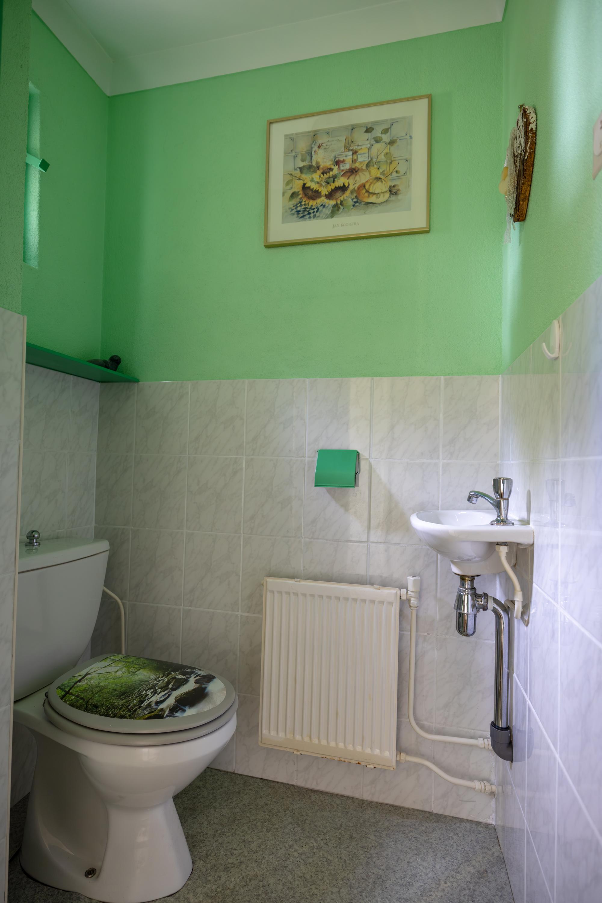 De Leijen 48 Surhuisterveen - Afbeelding 18.jpg