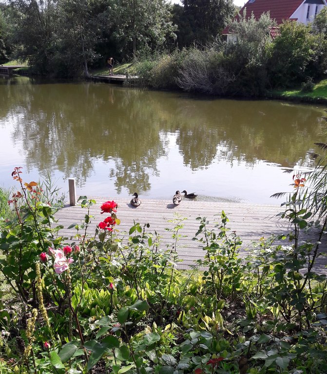 De Rug 3-92 Lauwersoog - Afbeelding 10.jpg