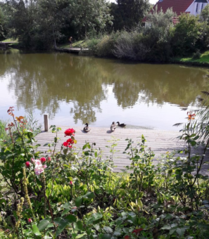 De Rug 3-92 Lauwersoog - Afbeelding 10.jpg