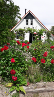 De Rug 3-92 Lauwersoog - Afbeelding 29.jpg