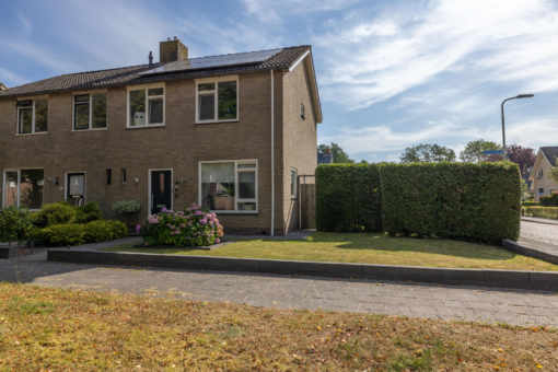 De Rusken 8 Frieschepalen - Hoofdafbeelding.jpg