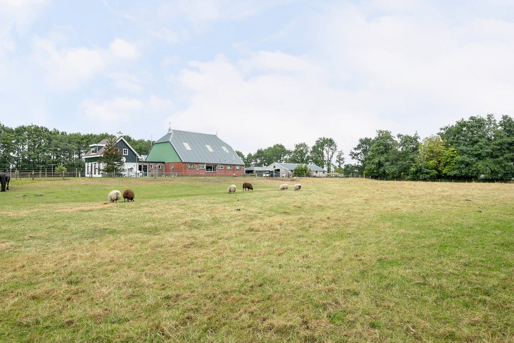 De Sanharst 2 Walterswald - Afbeelding 24.jpg