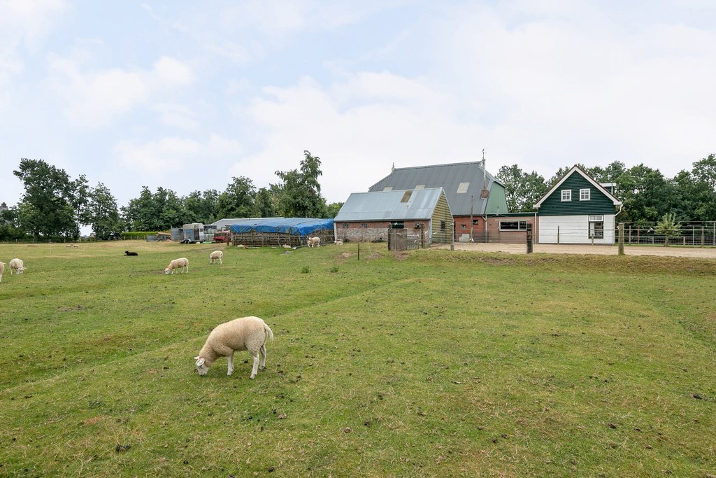 De Sanharst 2 Walterswald - Afbeelding 41.jpg