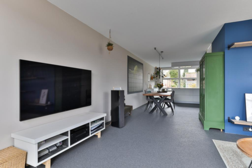 De Slinke 11 Sumar - Afbeelding 10.jpg