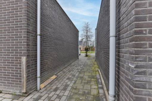 De Slinke 11 Sumar - Afbeelding 39.jpg