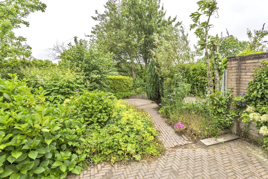 De Snikke 3 Metslawier - Afbeelding 18.jpg