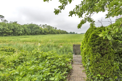 De Snikke 3 Metslawier - Afbeelding 6.jpg