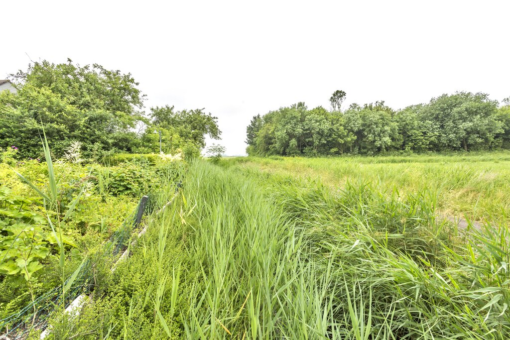 De Snikke 3 Metslawier - Afbeelding 61.jpg