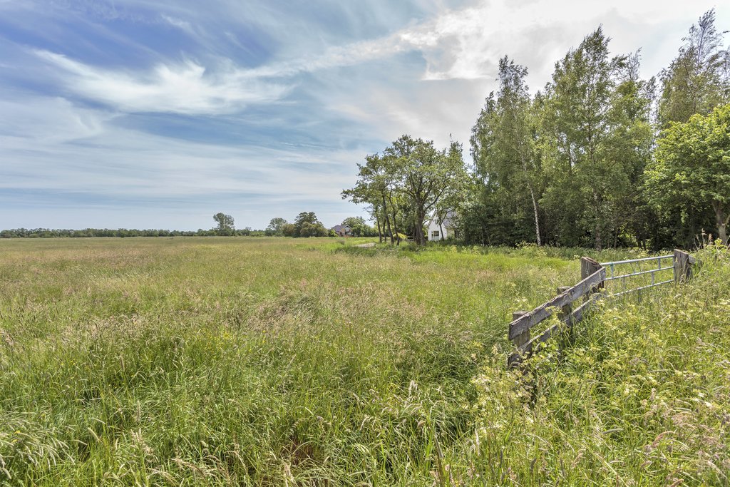 De Tjoele 10 Buitenpost - Afbeelding 55.jpg