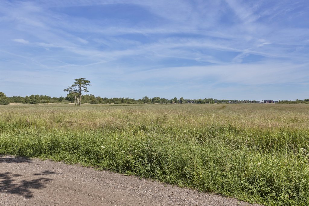 De Tjoele 10 Buitenpost - Afbeelding 76.jpg