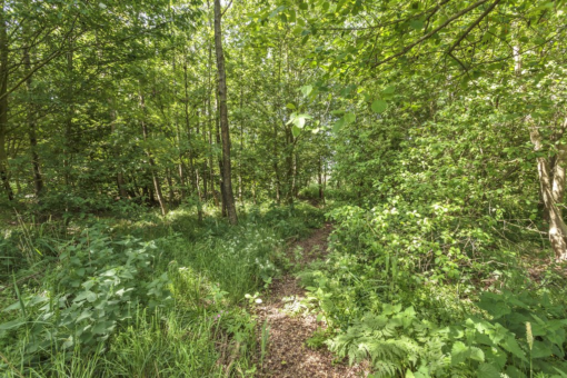 De Tjoele 10 Buitenpost - Afbeelding 78.jpg