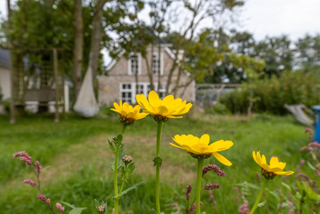 De Trieme 28 De Trieme - Afbeelding 50.jpg