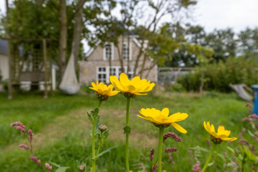 De Trieme 28 De Trieme - Afbeelding 50.jpg